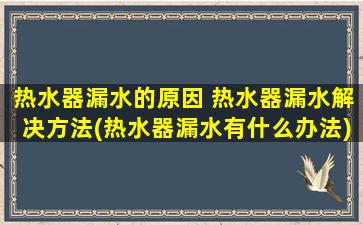 热水器漏水的原因 热水器漏水解决方法(热水器漏水有什么办法)